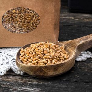 Seemned toiduks ja idandamiseks